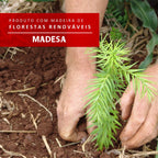 Conjunto Sala de Jantar Madesa Cíntia Mesa Tampo de Madeira com 4 Cadeiras Rustic/Crema/Bege Marrom